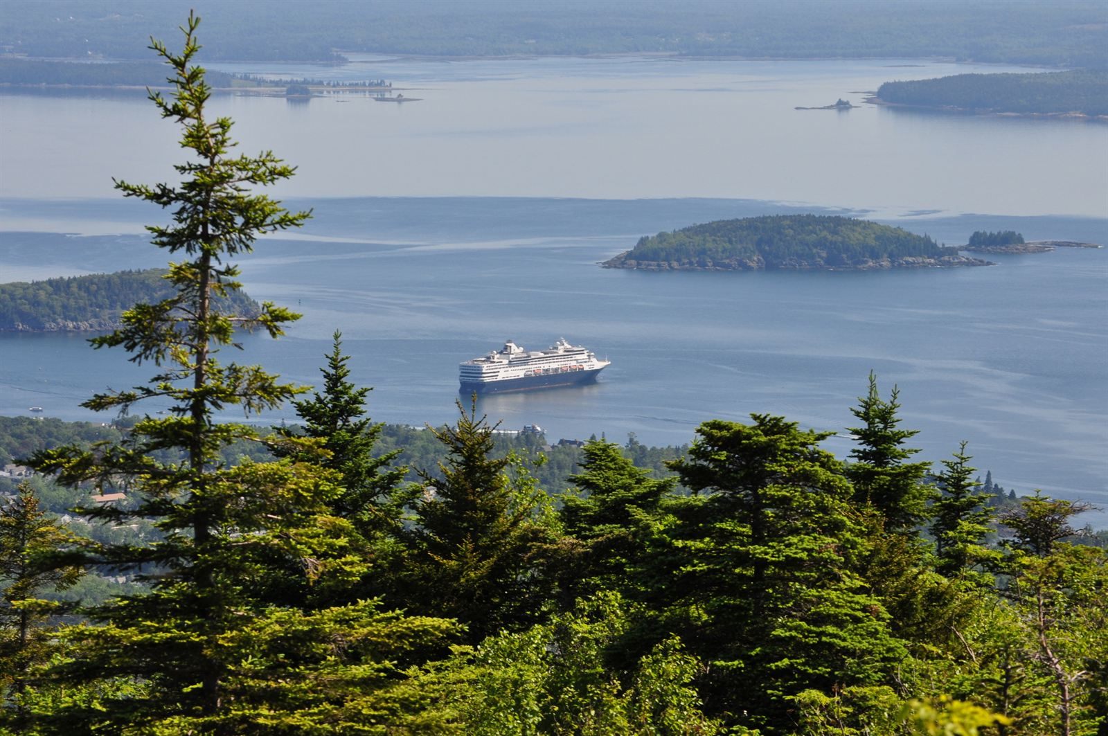 Cruise ship anchored among wooded islands in Frenchman Bay, seen through spruce trees above Bar Harbor